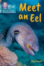 Meet an Eel af Ibby Alcraft