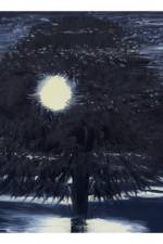 Ann Craven: Night