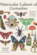 Watercolor Cabinet of Curiosities af Nassybah Tourino