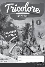 Tricolore 6e edition: Grammar in Action Workbook 1