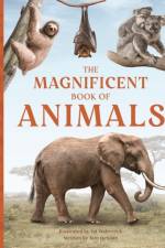 The Magnificent Book of Animals