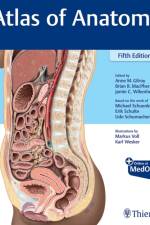 Atlas of Anatomy