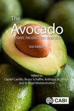 The Avocado