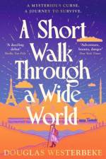 A Short Walk Through a Wide World