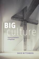 Big Culture af David Wittenberg