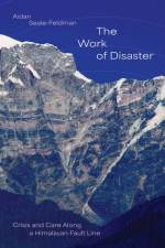 The Work of Disaster af Aidan Seale-Feldman