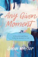 Any Given Moment af Sarah Molitor