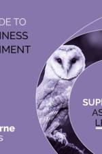 THE BUSINES ENVIRONMENT WISEGUIDE af OSBORNE
