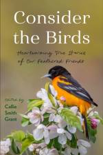 Consider the Birds