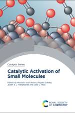 Catalytic Activation of Small Molecules