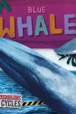 Blue Whale