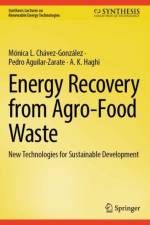 Energy Recovery from Agro-Food Waste af Monica L. Chavez-Gonzalez