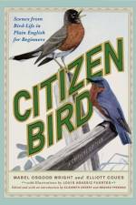 Citizen Bird