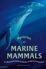 Mysteries of Marine Mammals af Amandine Delaunay