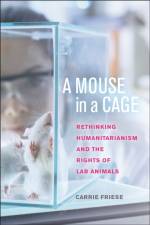 A Mouse in a Cage