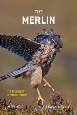 The Merlin af Frank Rennie
