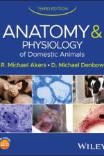Anatomy and Physiology of Domestic Animals af R. Michael (Virgina Polytechnic Institue and State University Akers