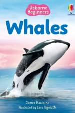 Beginners Whales af James Maclaine