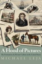 A Flood of Pictures af Michael Leja