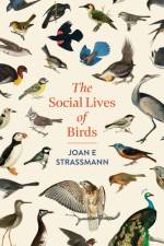 The Social Lives of Birds af Joan E. Strassmann