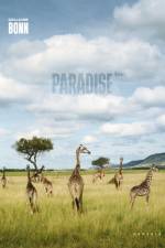 PARADISE INC.