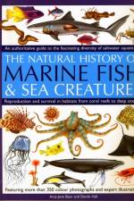 Marine Fish af Amy-Jane Beer