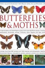 Illustrated World Encyclopedia of Butterflies & Moths af Sally Morgan