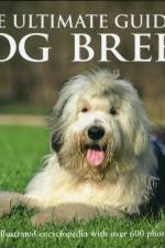 The Ultimate Guide to Dog Breeds af Derek Hall
