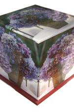 Hydrangea Memo Cube Plus Greeting Cards and Envelope af Peony Press