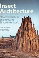 Insect Architecture af Michael S. Engel
