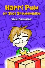 Harri Puw a'r Bocs Breuddwydion af Rhian Cadwaladr