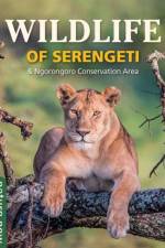 Wildlife of Serengeti & Ngorongoro Conservation Area af Jean du Plessis
