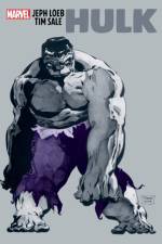 Jeph Loeb & Tim Sale: Hulk af Jeph Loeb