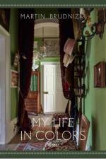 My Life in Colors af Martin Brudnizki