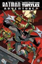Batman/Teenage Mutant Ninja Turtles Adventures