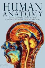 Human Anatomy