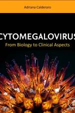 Cytomegalovirus af Adriana Calderaro