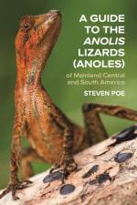 A Guide to the Anolis Lizards (Anoles) of Mainland Central and South America af Steven Poe