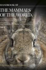 Handbook of the Mammals of the World. Vol.6