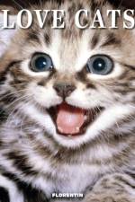 Love Cats
