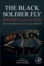 The Black Soldier Fly (Hermetia illucens)