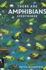 There Are Amphibians Everywhere af Camilla De La Bedoyere