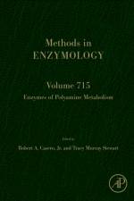 Enzymes of Polyamine Metabolism