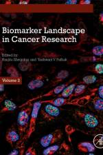 Biomarker Landscape in Cancer Research