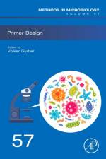 Primer Design