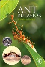 Ant Behavior af Abraham Hefetz