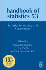 Statistics in Industry and Government