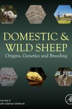Domestic and Wild Sheep af Menghua Li