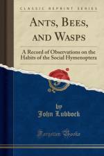 Ants, Bees, and Wasps