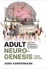 Adult Neurogenesis af Gerd Kempermann